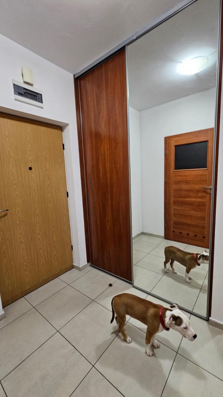 קרקוב Apartament Lipinskiego מראה חיצוני תמונה