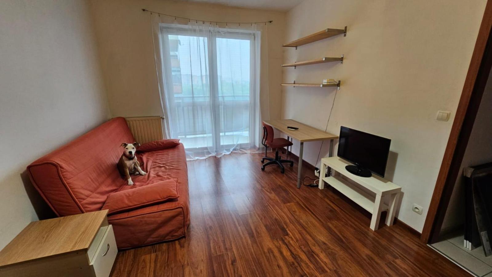 קרקוב Apartament Lipinskiego מראה חיצוני תמונה