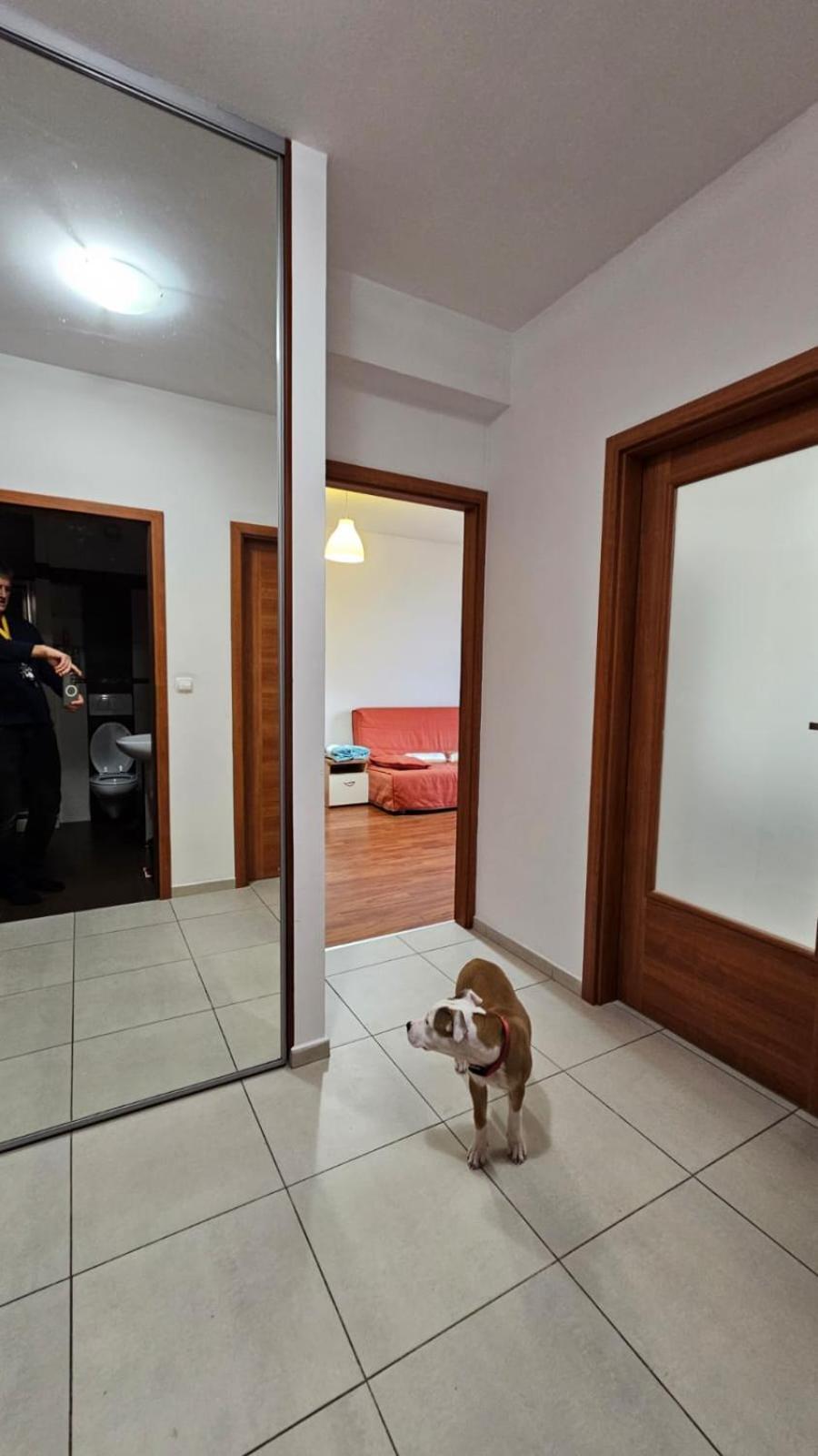 קרקוב Apartament Lipinskiego מראה חיצוני תמונה