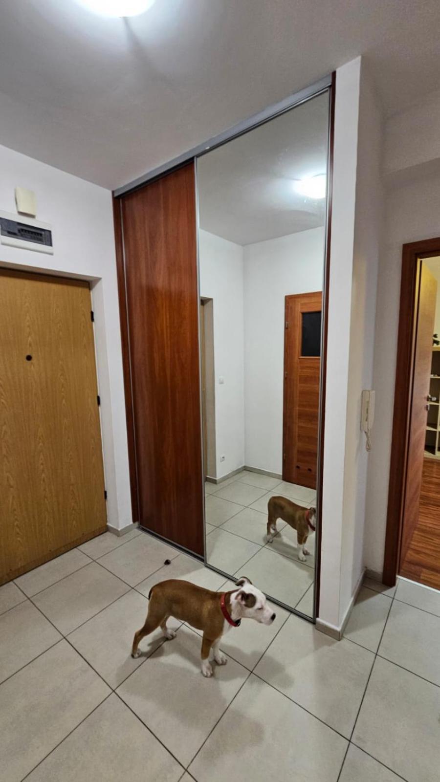 קרקוב Apartament Lipinskiego מראה חיצוני תמונה