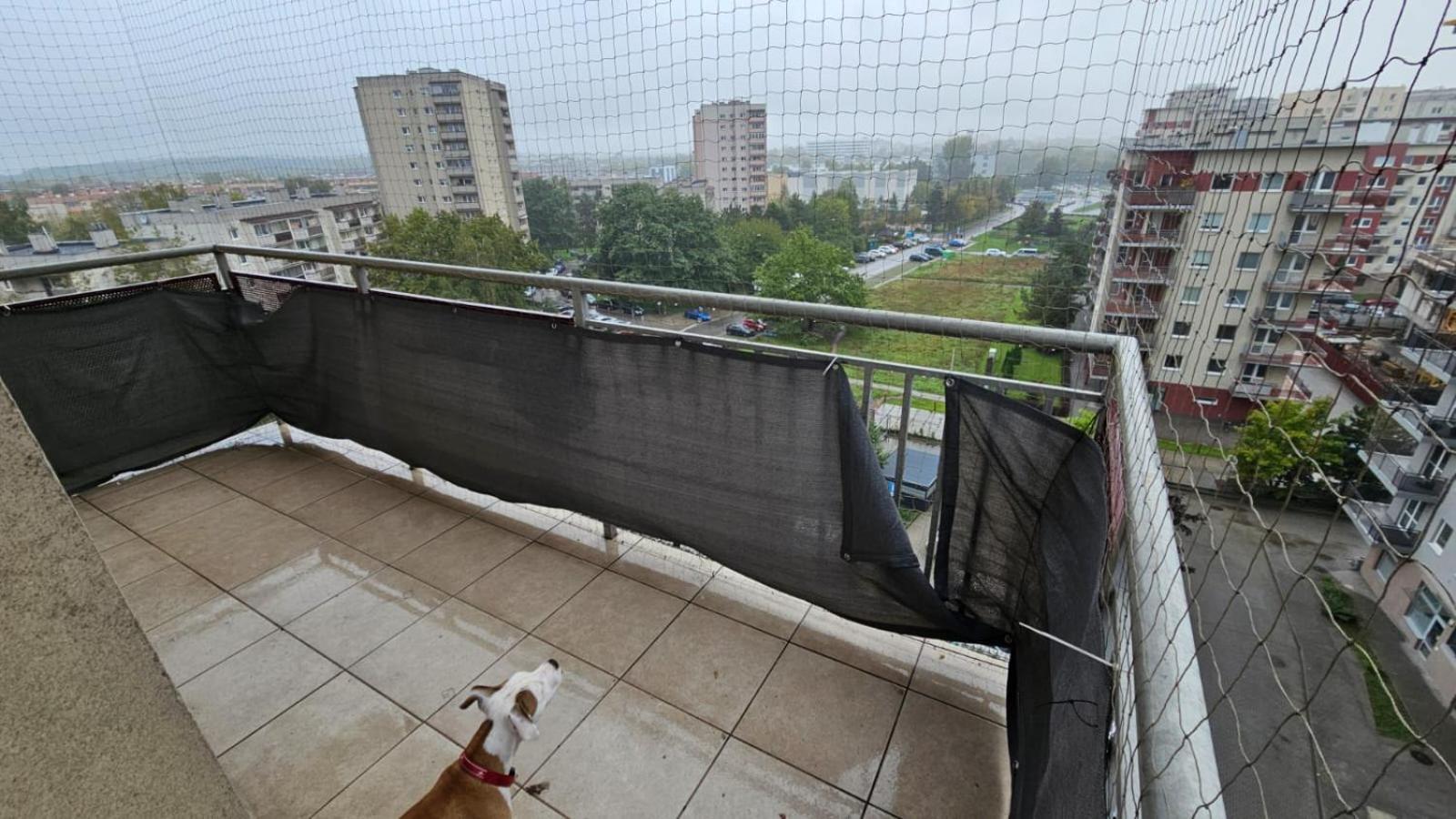 קרקוב Apartament Lipinskiego מראה חיצוני תמונה