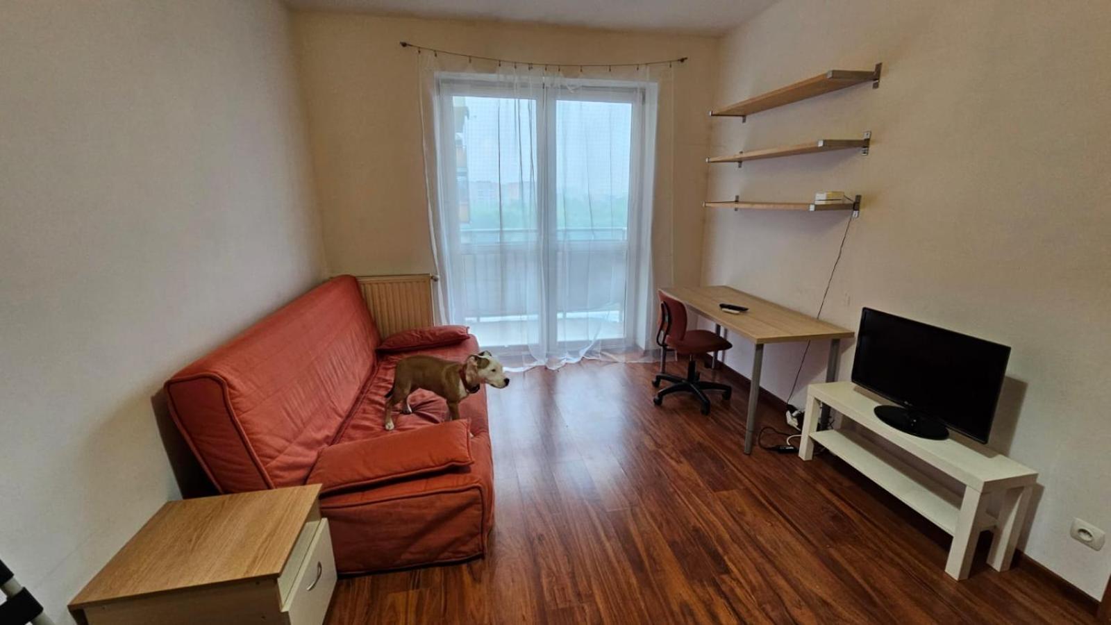 קרקוב Apartament Lipinskiego מראה חיצוני תמונה