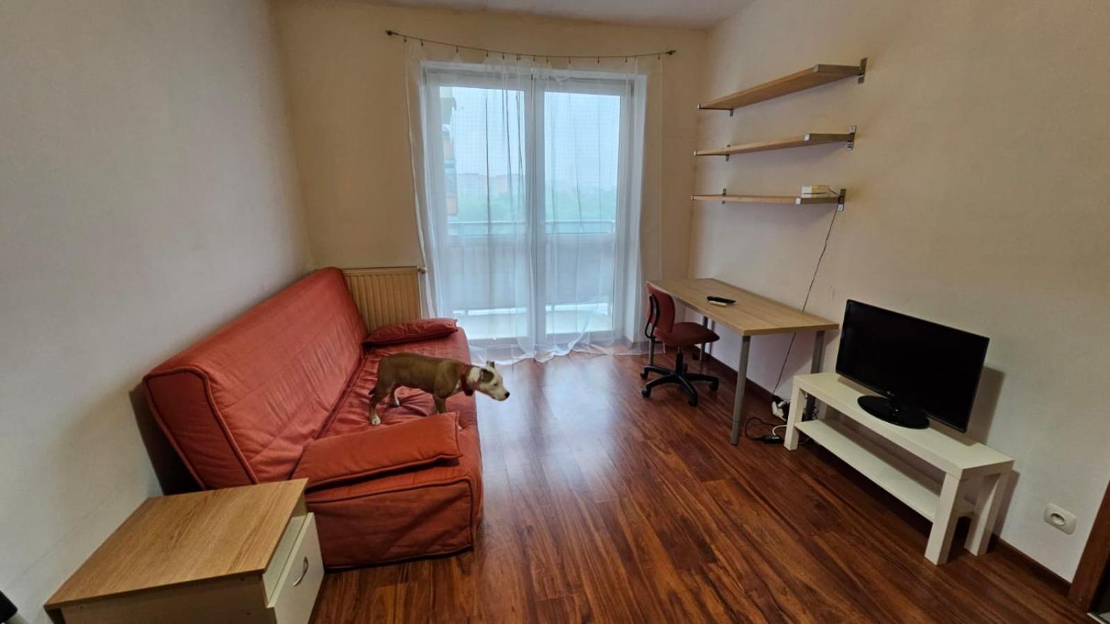 קרקוב Apartament Lipinskiego מראה חיצוני תמונה